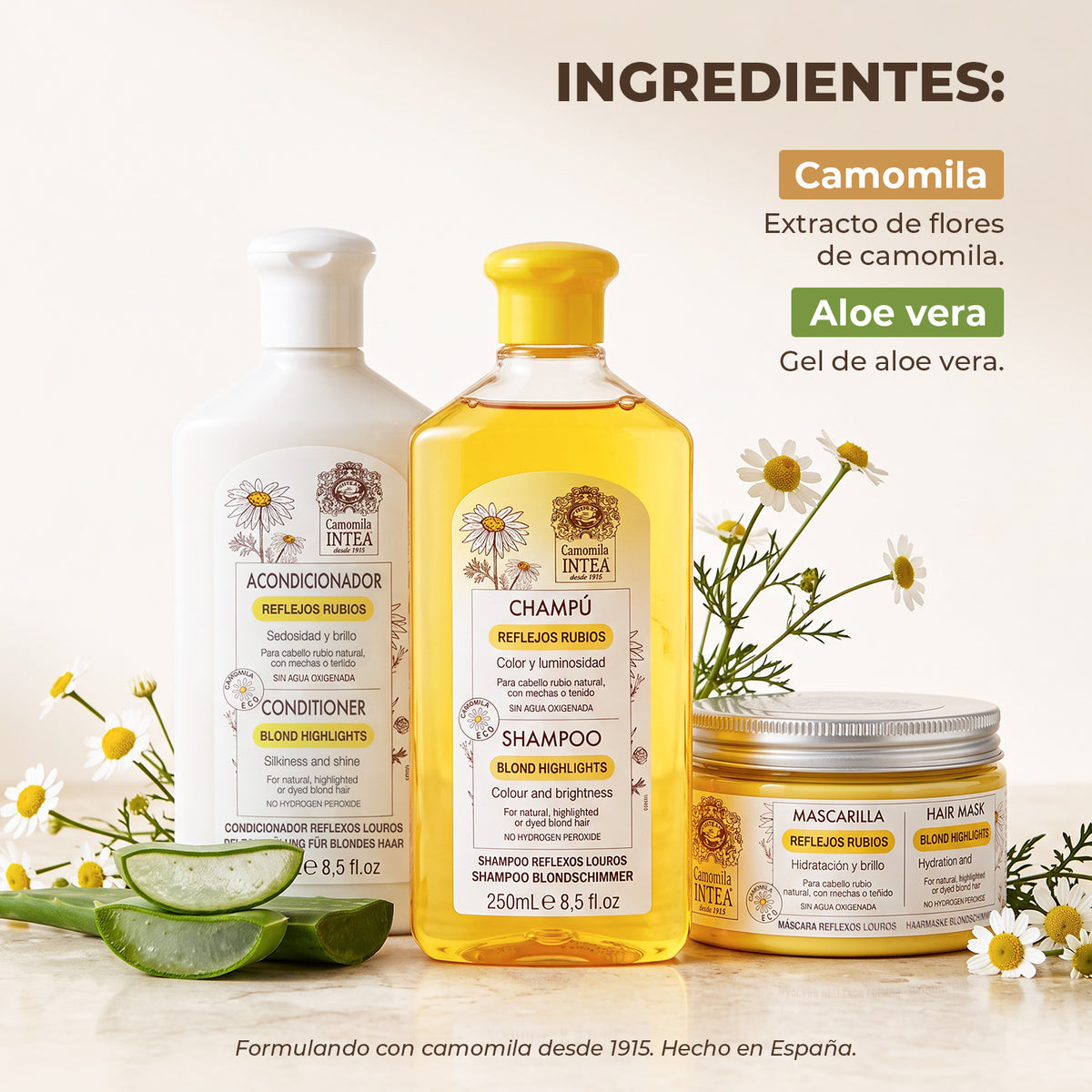 Kit Mantenimiento & Brillo