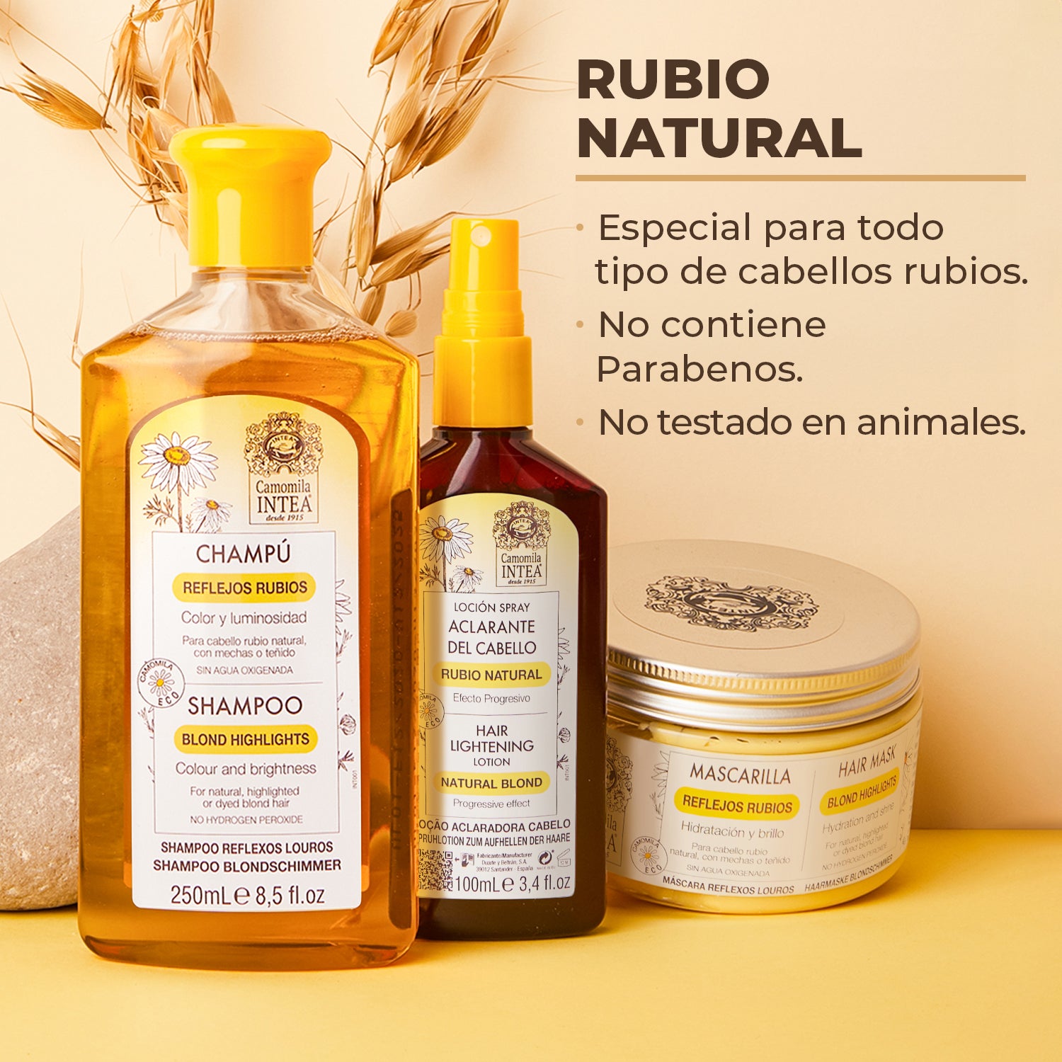Kit Aclarador Rubio Natural + Fanola