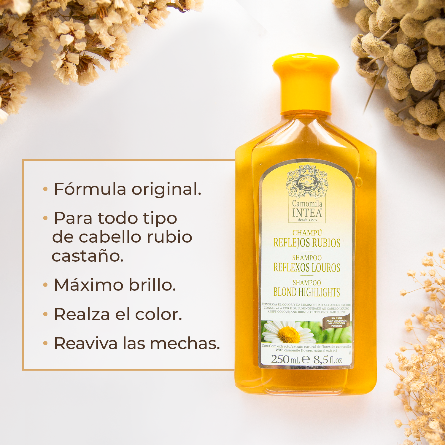 Champú Reflejos Rubios