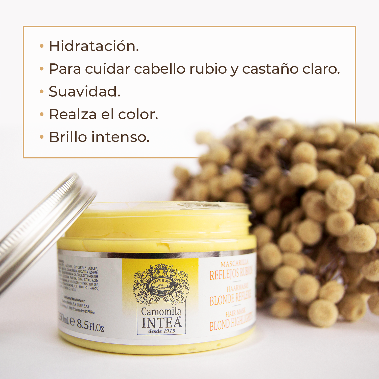 Mascarilla Reflejos Rubios