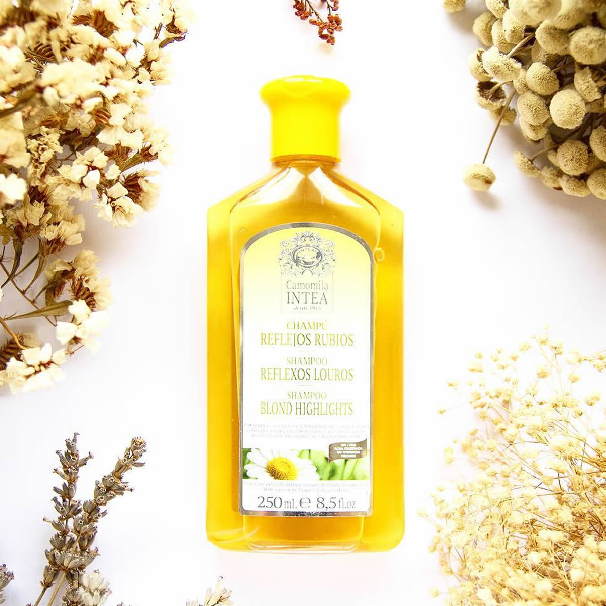 Champú Reflejos Rubios